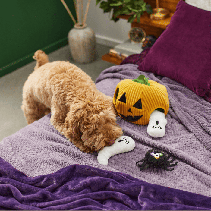 Shop The Paw Halloween Jack-O-Lantern Burrow Dog Toy