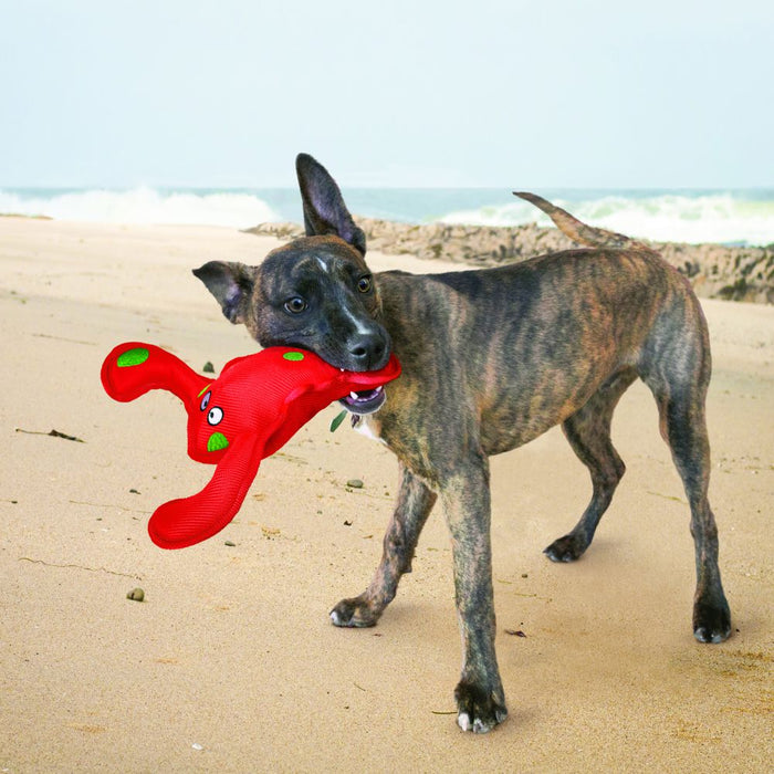 20% OFF: Kong® Belly Flops™ Lobster Dog Toy