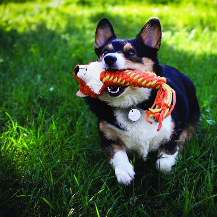 20% OFF: Kong® Winders™ Fox Dog Toy