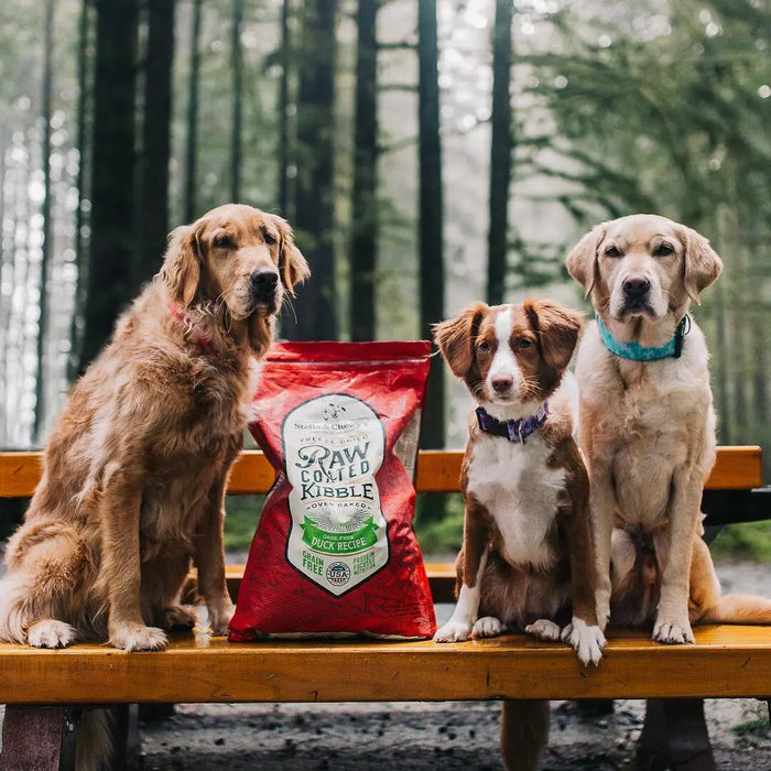 15% OFF: Stella & Chewy’s Raw Coated Kibble Cage-Free Duck Recipe Dry Dog Food