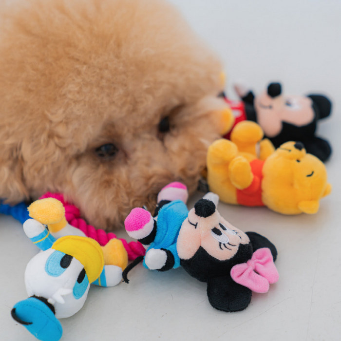 DA Pet Disney Pooh Rope Dog Toy