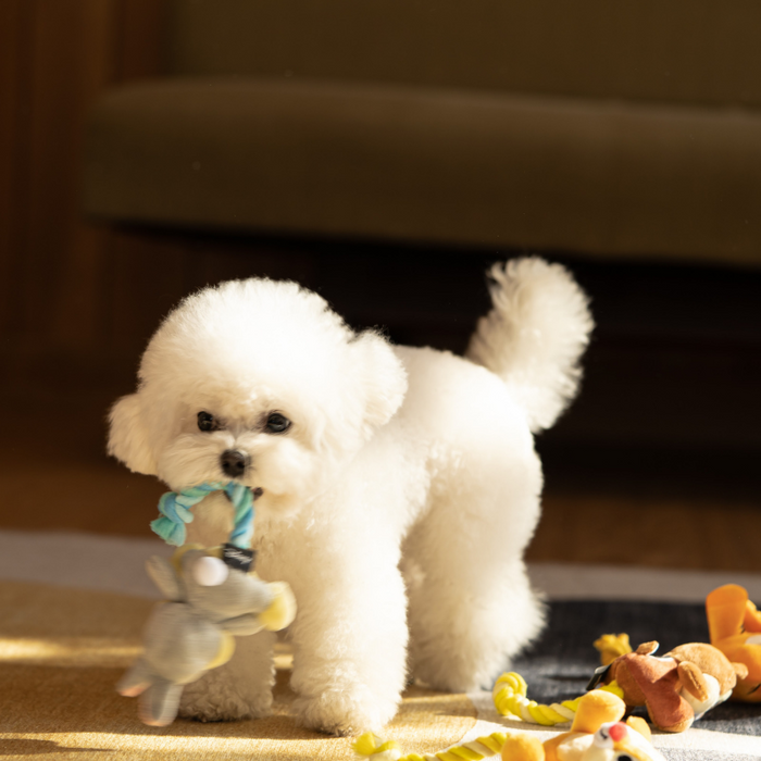 DA Pet Disney Thumper Rope Dog Toy