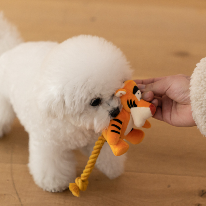 DA Pet Disney Tigger Rope Dog Toy