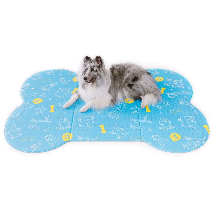 15% OFF: Sapsal Blue Pet Soft Mat