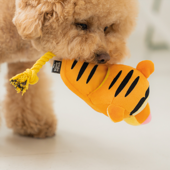 DA Pet Disney Tigger The Tiger Slipper Rope Dog Toy