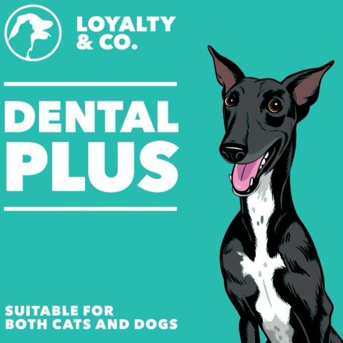Loyalty & Co. Dental Plus For Dogs & Cats