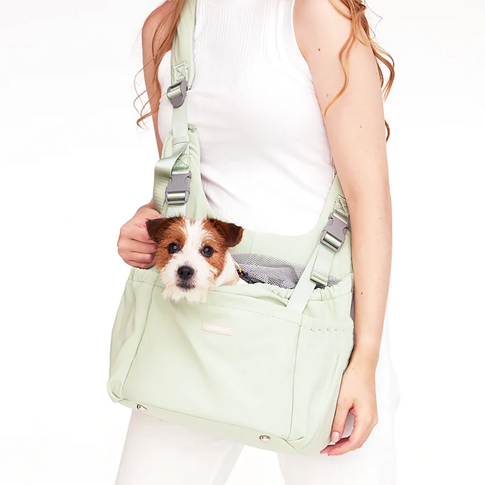 Pups & Bubs Let's Adventure Front & Backpack Mint Pet Carrier