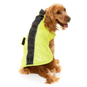 15% OFF: FuzzYard Osaka Yellow Rain Coat