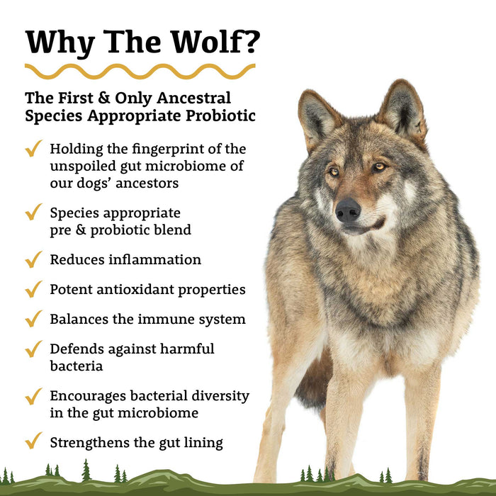 Adored Beast The Wolf | Species Appropriate Probiotic For Dogs