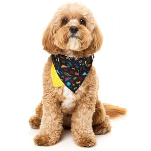 15% OFF: FuzzYard Bel Air Pet Bandana