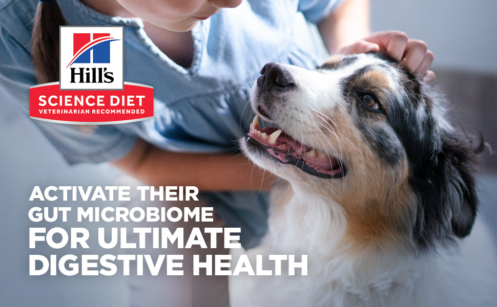 10% OFF: Hill's® Science Diet® Adult Perfect Digestion With Salmon, Whole Oats & Brown Rice Recipe Dry Dog Food