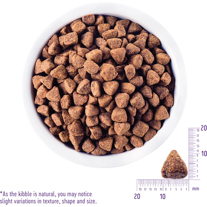 20 OFF FREE WET FOOD Wellness CORE Grain Free Original Deboned Turkey Turkey Meal Chicken Meal Recipe Adult Dry Dog Food