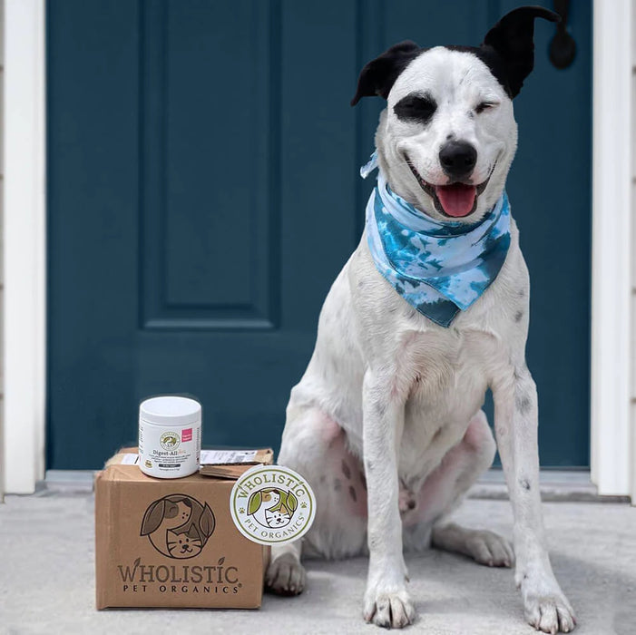 Wholistic Pet Organics Digest All Plus (Digestive Support) For Dogs & Cats