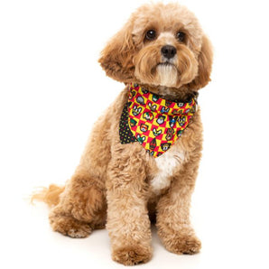 15% OFF: FuzzYard Doggoforce Pet Bandana