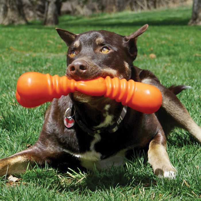 20% OFF: Kong® SqueakStix Wigglerz Dog Toy (Assorted Colour)