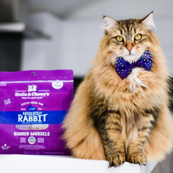 Stella & Chewy's Freeze-Dried Raw Absolutely Rabbit Dinner Morsels For Cats