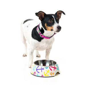 15% OFF: FuzzYard Ahoy! Easy Feeder Bowl