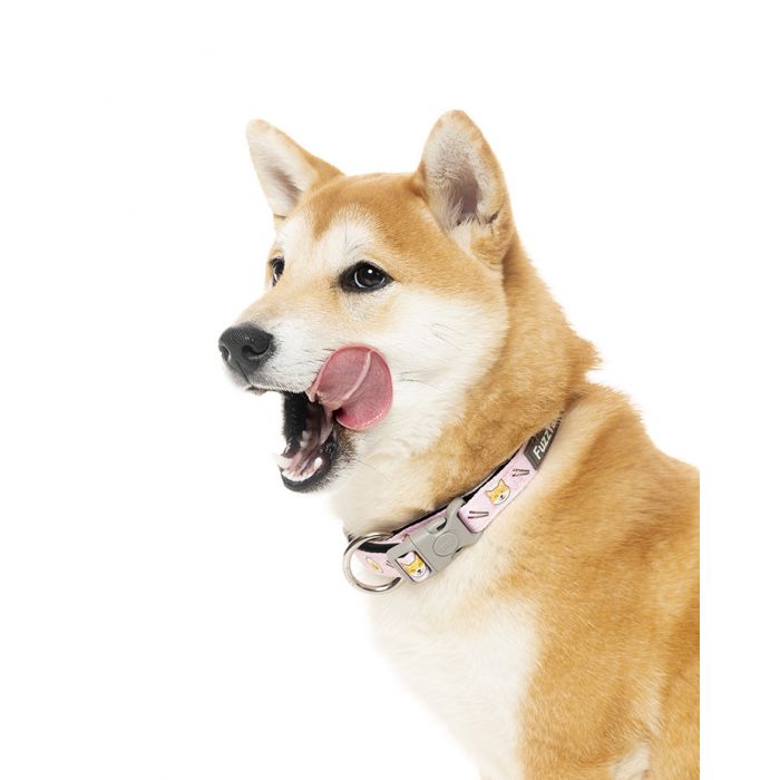 15% OFF: FuzzYard Sushiba Dog Collar
