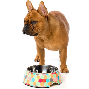 15% OFF: FuzzYard The Hive Easy Feeder Bowl