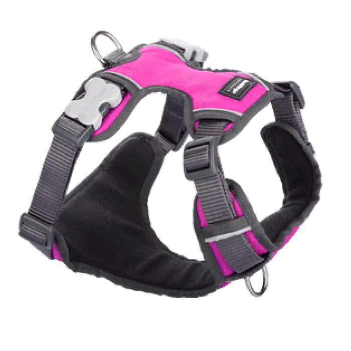 Red Dingo Hot Pink Padded Dog Harness
