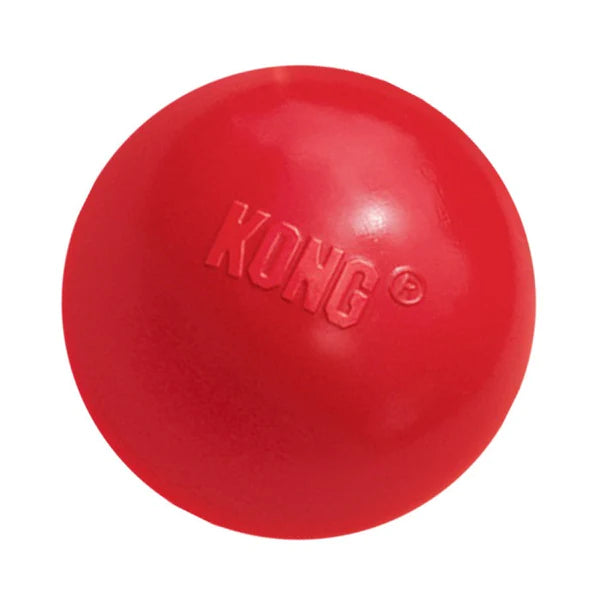 20% OFF: Kong® Classic Kong Ball™ Dog Toy
