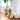 ZippyPaws NomNomz® Avocado Toy