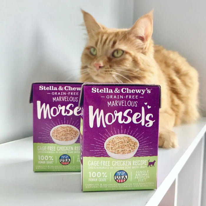 Stella & Chewy's Marvelous Morsels Grain Free Cage-Free Chicken Recipe Wet Cat Food