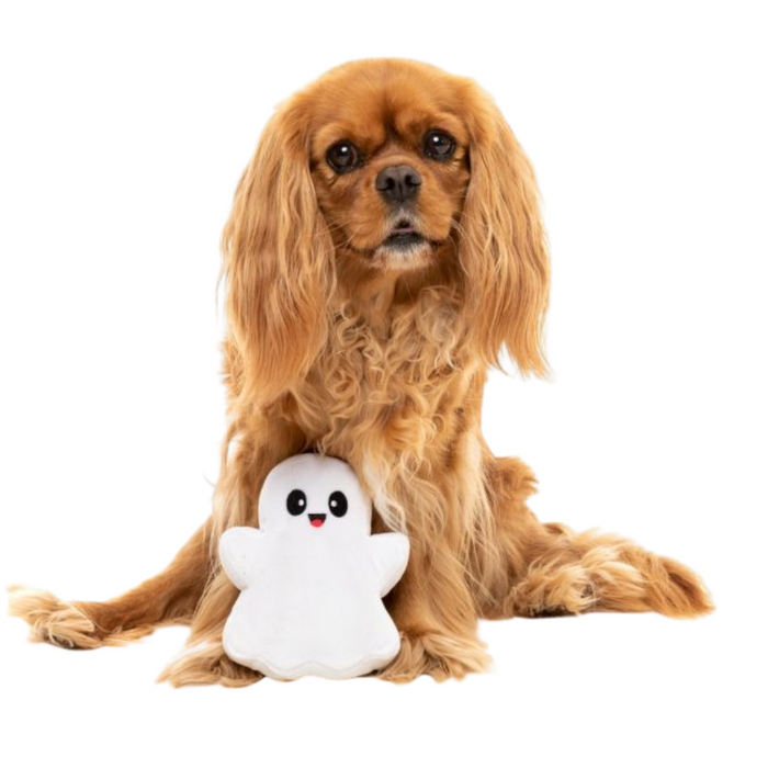[HALLOWEEN 🎃 👻 ] 15% OFF: FuzzYard 2 Cute 2 Spook Ghost Plush Dog Toy