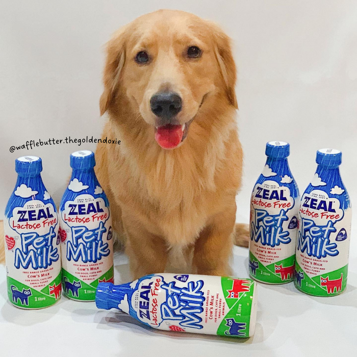 [PAWSOME BUNDLE] BUY 3 FREE 1: Zeal Lactose-Free Pet Milk