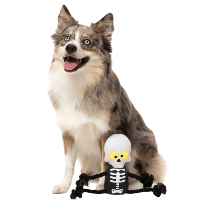[HALLOWEEN 🎃 👻 ] 15% OFF: FuzzYard Indiana Bones Rope Plush Dog Toy