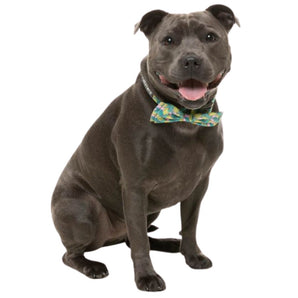 15% OFF: FuzzYard Bananarama Bow Tie