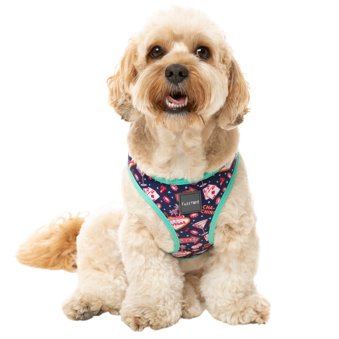 15% OFF: FuzzYard Jackpup Dog Step-In Harness