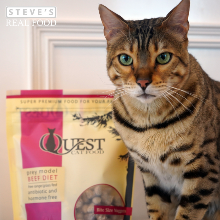 [PAWSOME BUNDLE] 3 FOR $119.70: Steve's Real Food QUEST Freeze-Dried Raw Beef/Chicken/Pork Diet Cat Food