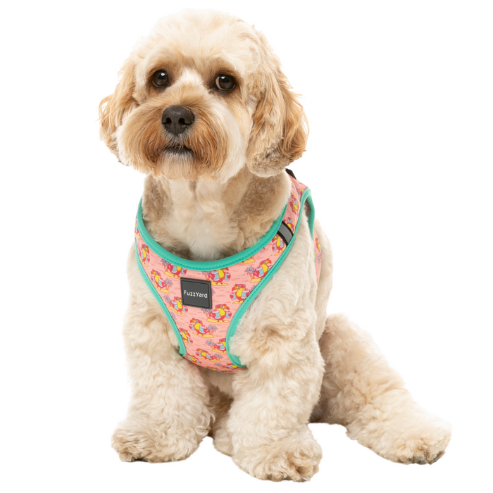 15% OFF: FuzzYard Two-Cans Dog Step-In Harness