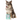 15% OFF: FuzzYard iPawd Plush Dog Toy
