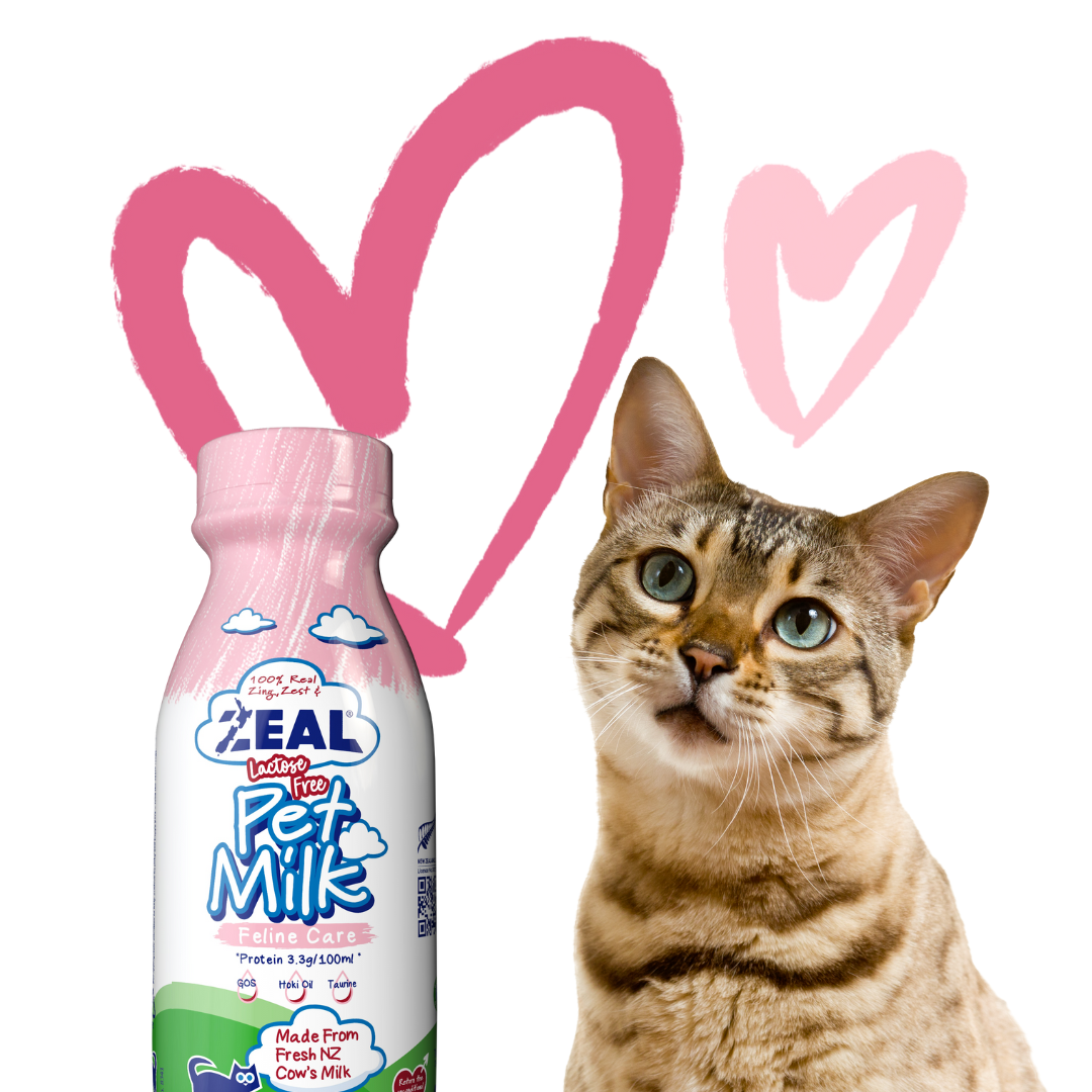 Is lactose free clearance milk ok for cats