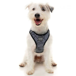 15% OFF: FuzzYard Northcote Dog Step-In Harness