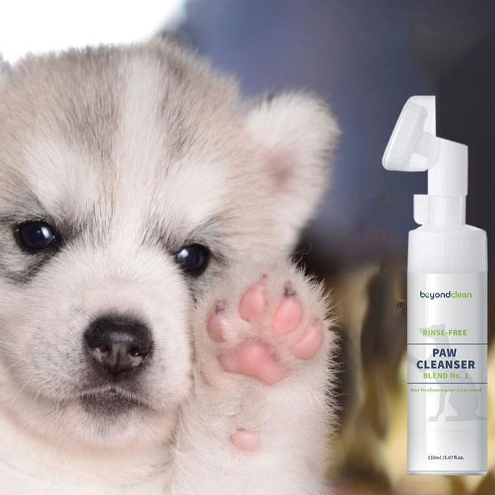 Beyond Clean Organic Catnip Rinse-Free Paw Cleanser