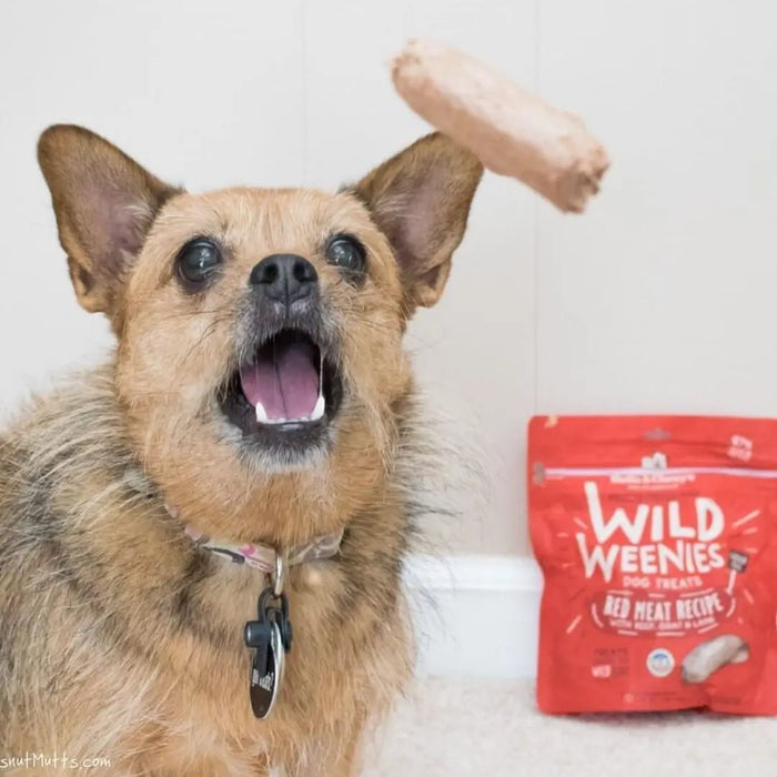 Stella & Chewy’s Freeze Dried Raw Wild Weenies Red Meat Recipe Dog Treats