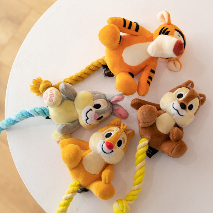 DA Pet Disney Tigger Rope Dog Toy