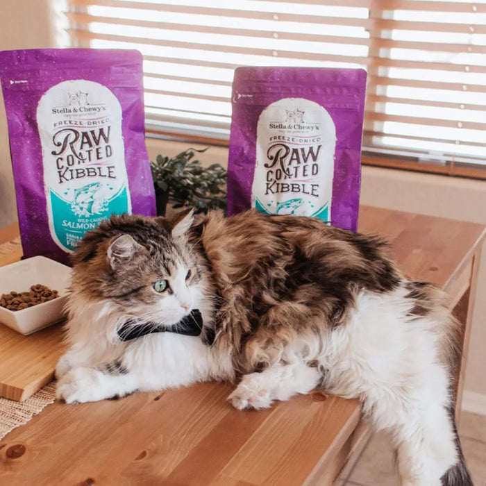 15% OFF: Stella & Chewy's Raw Coated Wild-Caught Salmon Recipe Dry Cat Food