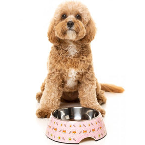 15% OFF: FuzzYard Sushiba Easy Feeder Bowl
