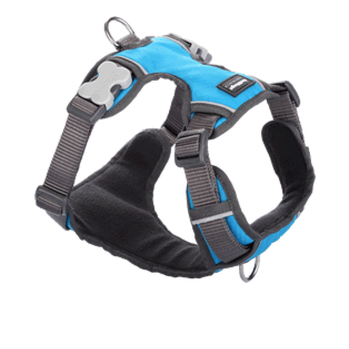 Red Dingo Turquoise Padded Dog Harness