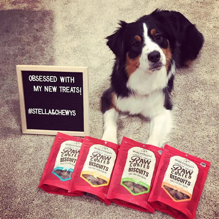 Stella & Chewy's Cage-Free Chicken Recipe Raw Coated Biscuits For Dogs