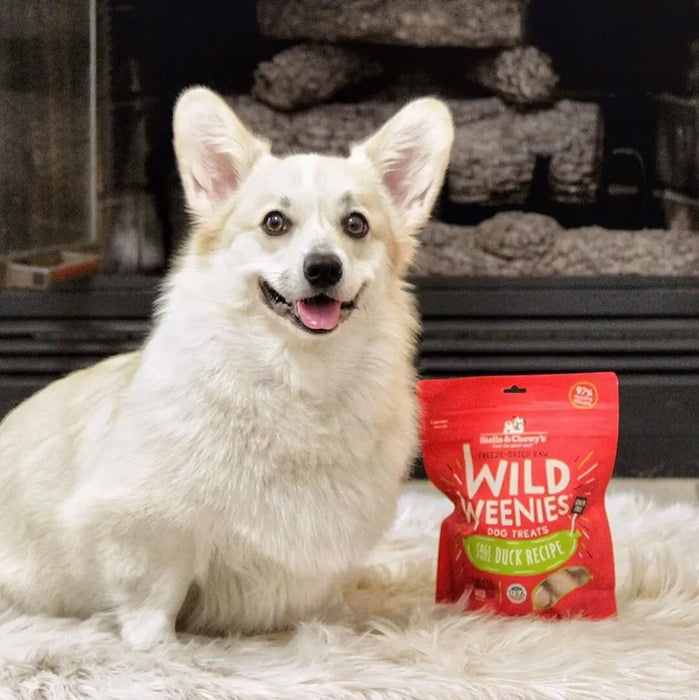 Stella & Chewy’s Freeze Dried Raw Wild Weenies Cage-Free Duck Recipe Dog Treats