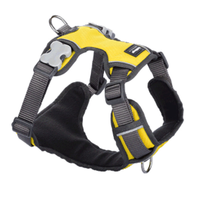 Red Dingo Yellow Padded Dog Harness