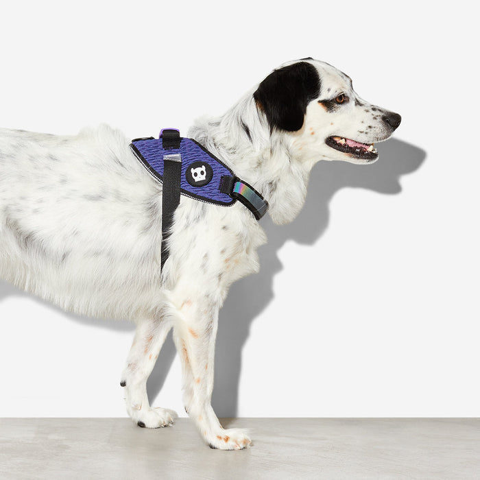 10% OFF: Zee Dog Wicked FlyHarness For Dogs