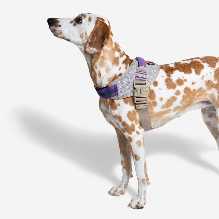 10% OFF: Zee Dog ACG FlyHarness For Dogs