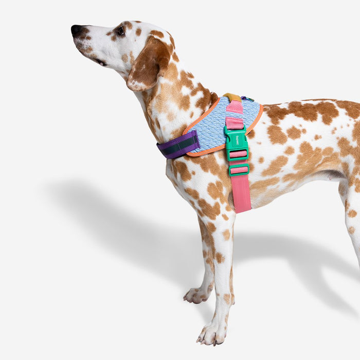 10% OFF: Zee Dog Galaxy FlyHarness For Dogs